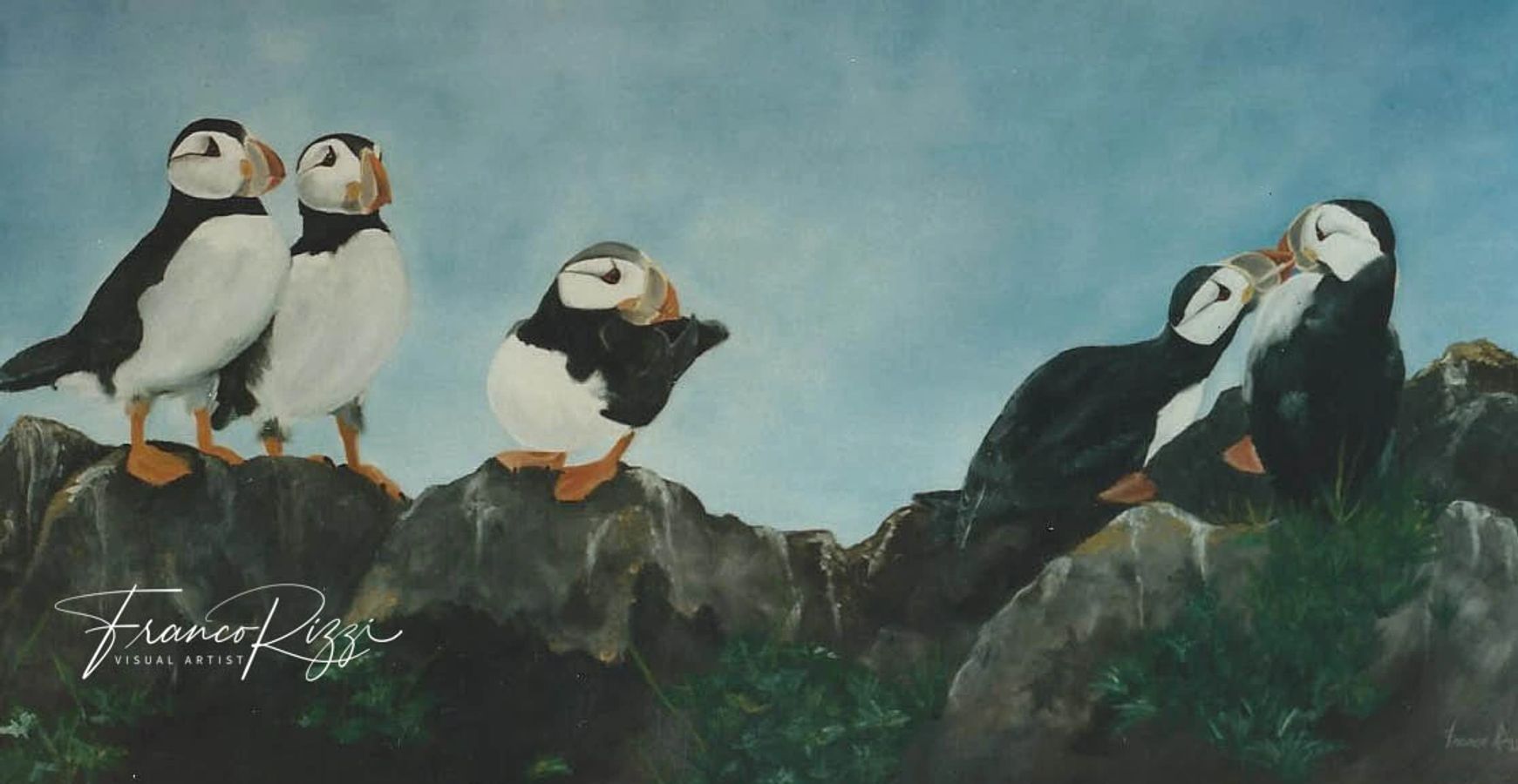 Puffins — Oils by Franco Rizzi
